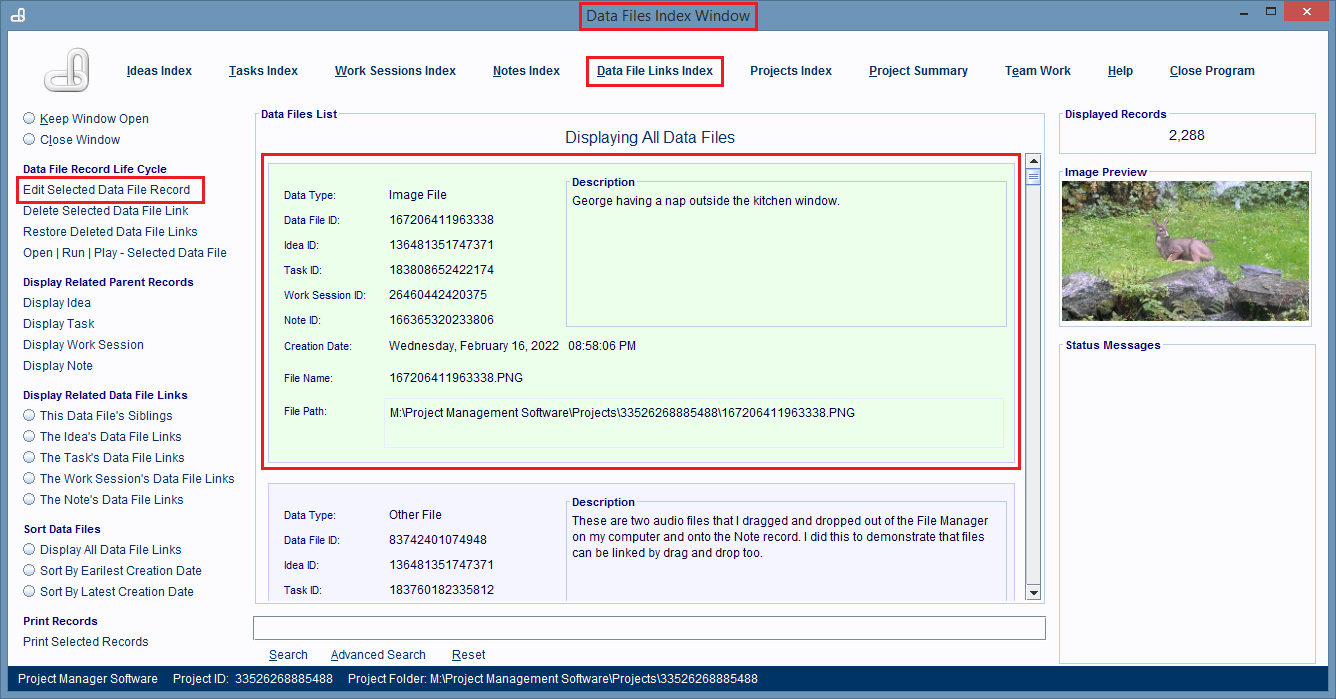 The Data File Links Index window has a record selected in it.