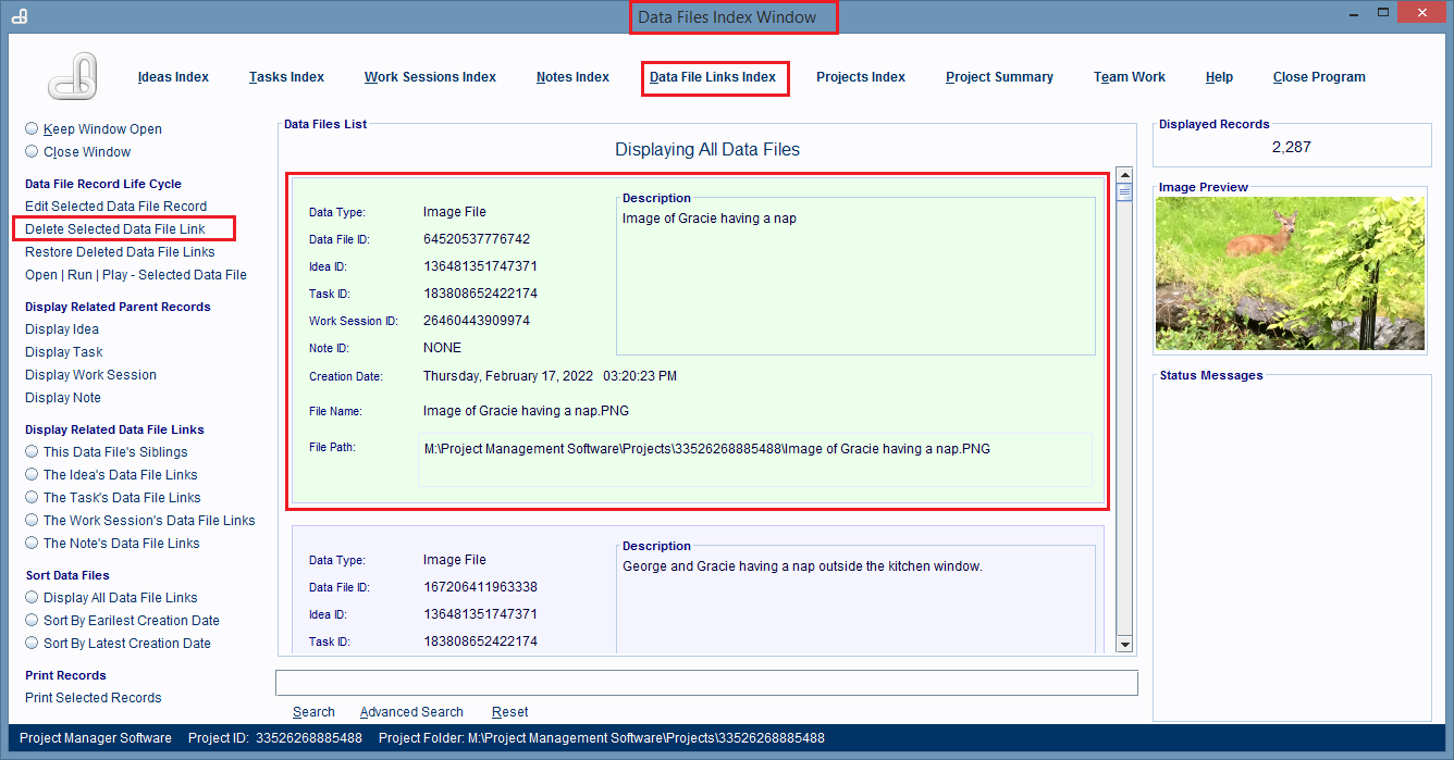 Data File Links Index Window with a record selected.