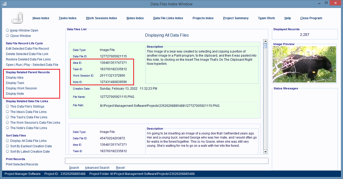 Data Files Index Window displaying a selected Data File Link record.