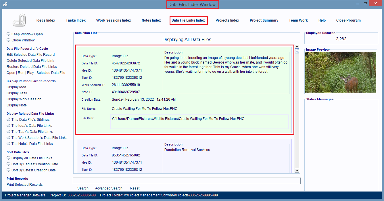 The Data File Links Index Window. Shows all the 
                        Data File Link records in a project.