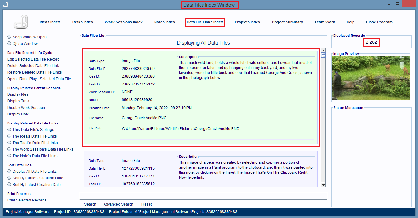 The Data File Links Index Window. Shows all the 
                        Data File Link records in a project.