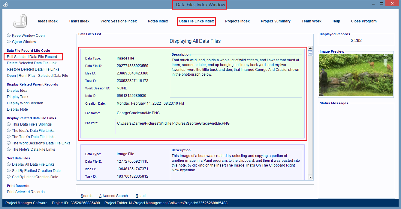 A Data File Link Record displayed in the Data File Links Index.