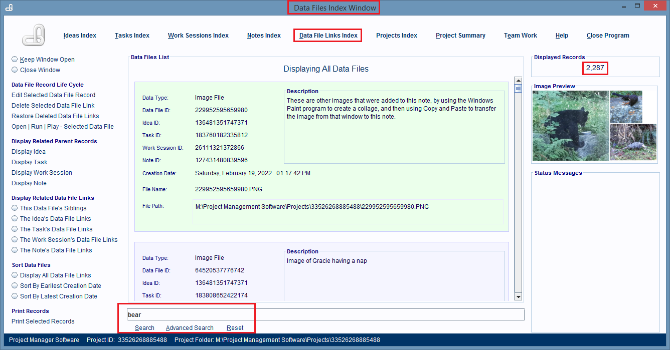 Data File Links Index Window with a record selected.