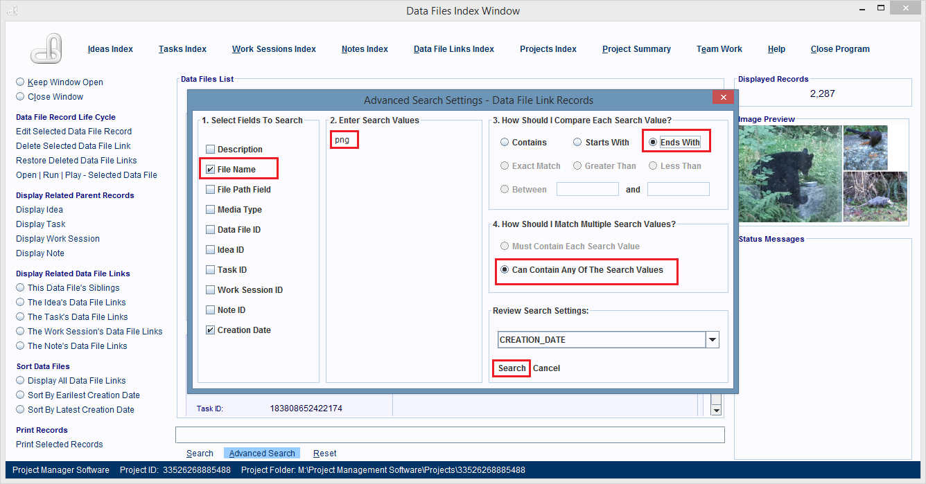 The File Name field settings.