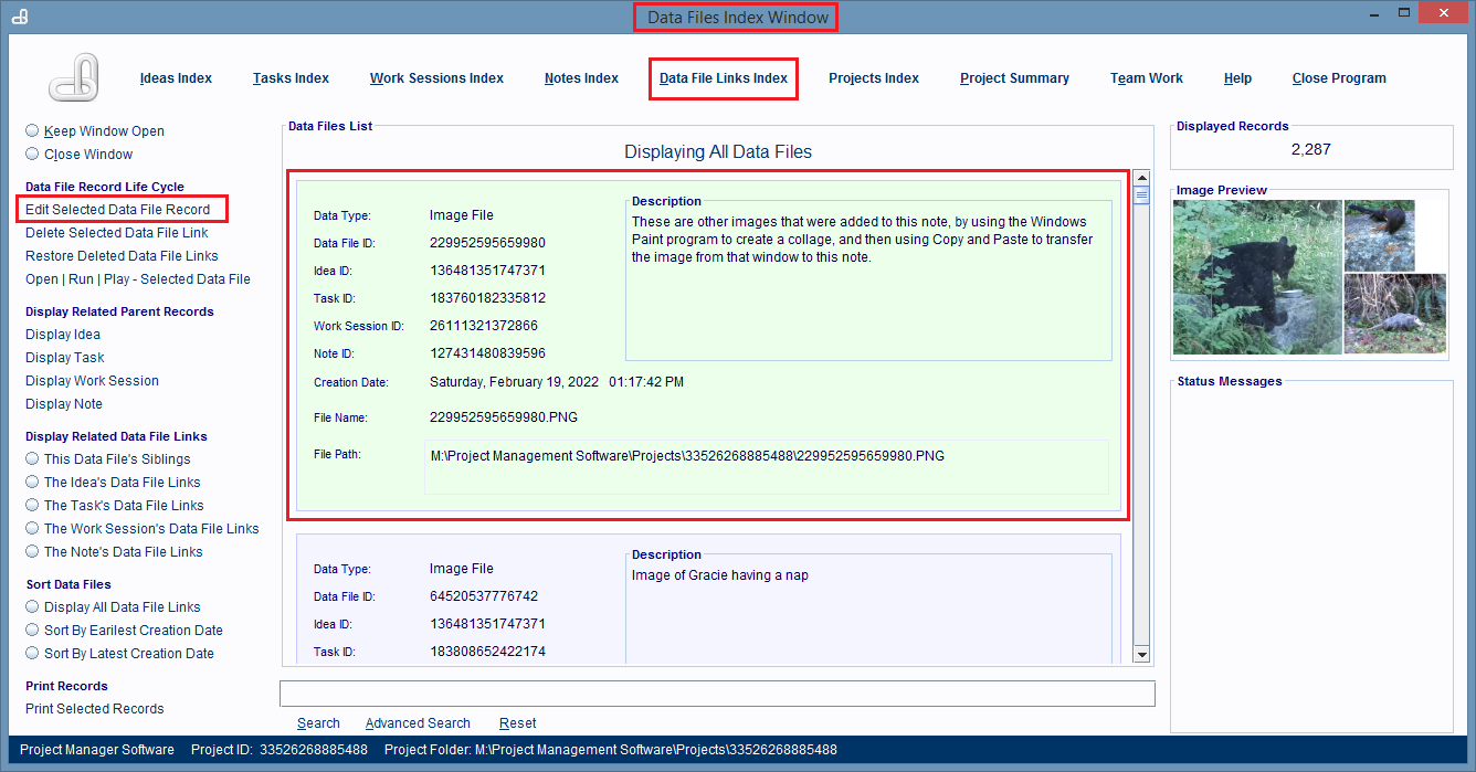 The Data File Links Index Window