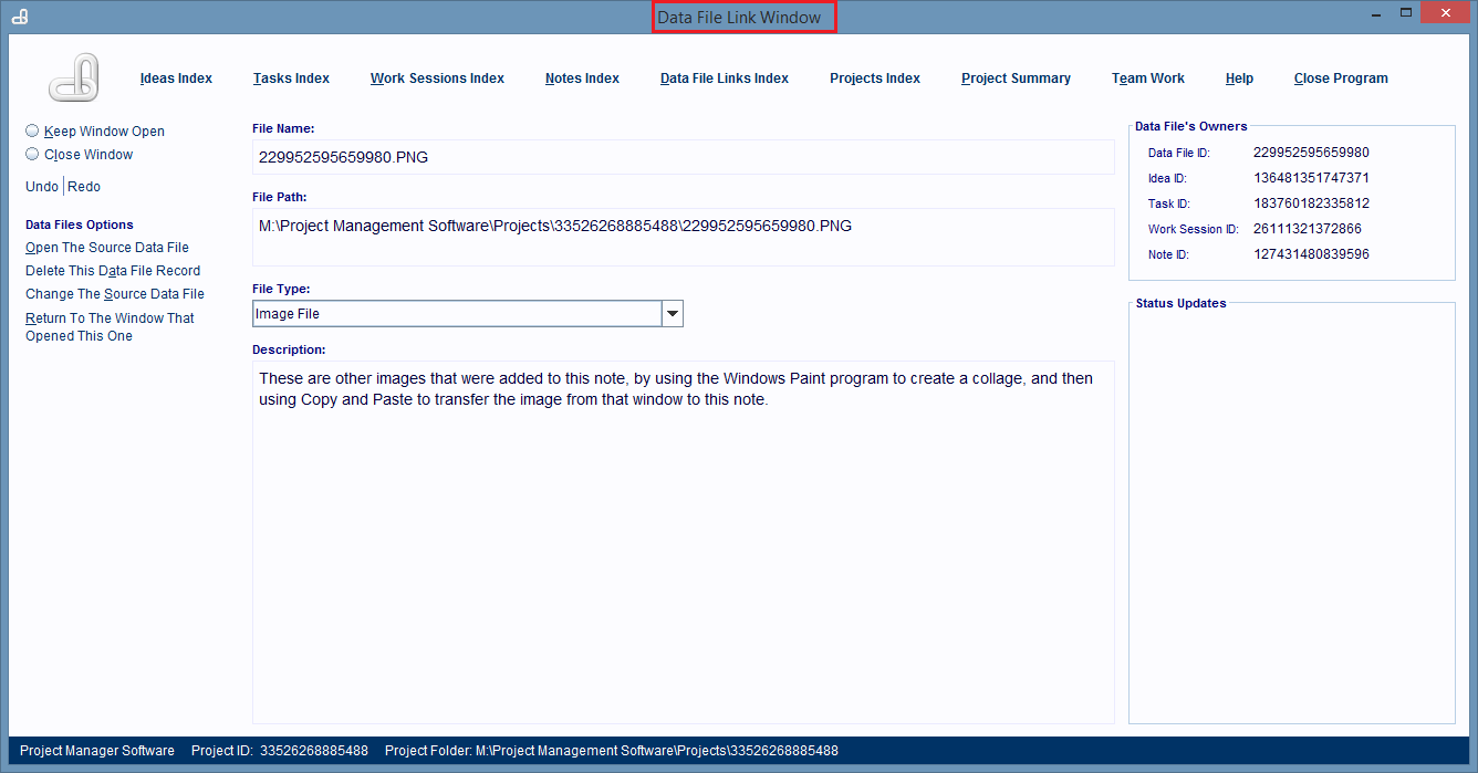 A Data File Link record displayed in the Data File Link Window.