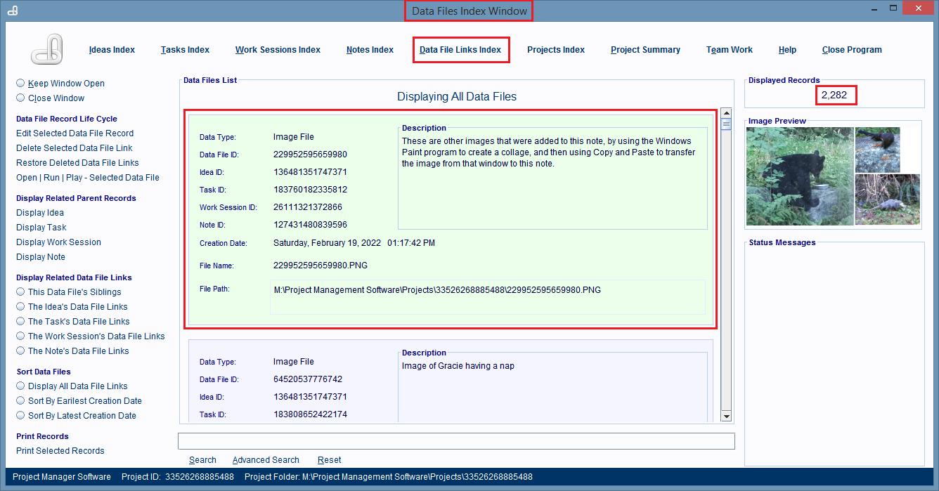 Data File Links Index Window