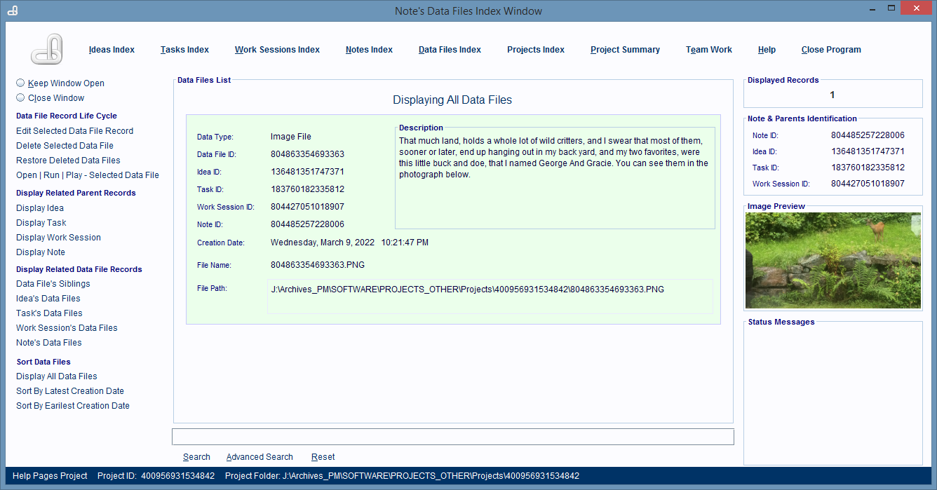 A Note's Data Files Index Window