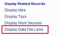 The Data File Links hyperlink.