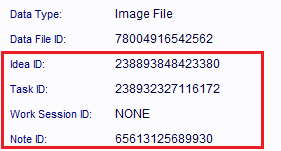 The Data File Link record for the snipped image.