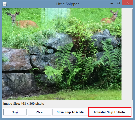 Click the Transfer Snip To Note button in the dialog box.