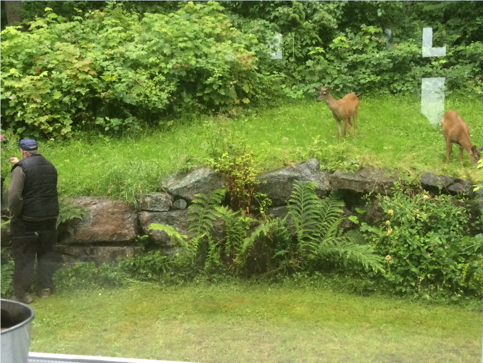 A picture of George, Gracie, and me together in the back yard.