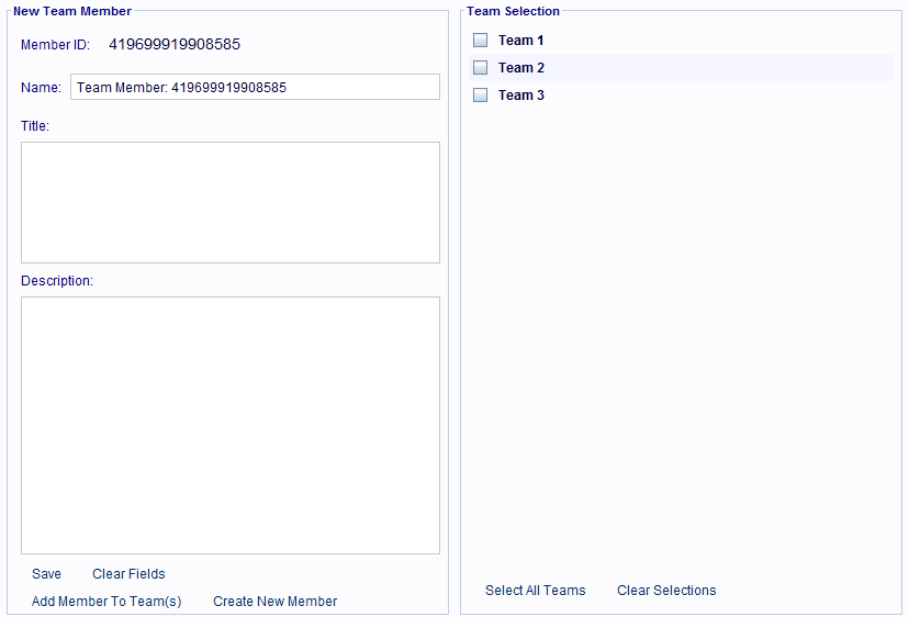 The New Team Member service's panels.