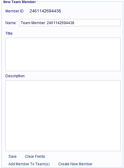 New Team Member panel.