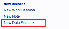 The New Data File Link hyperlink.