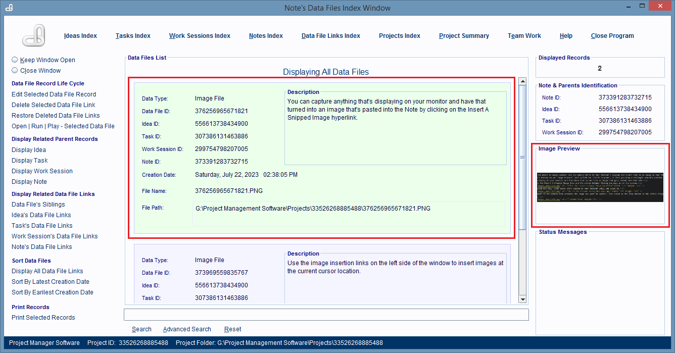 Data File Link record for the snipped image.