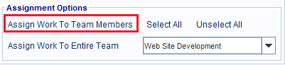 The Assign Work To Team Members hyperlink
