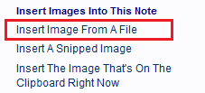Click the Insert Image From File hyperlink